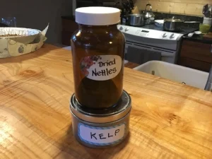 Dried Nettles and Kelp