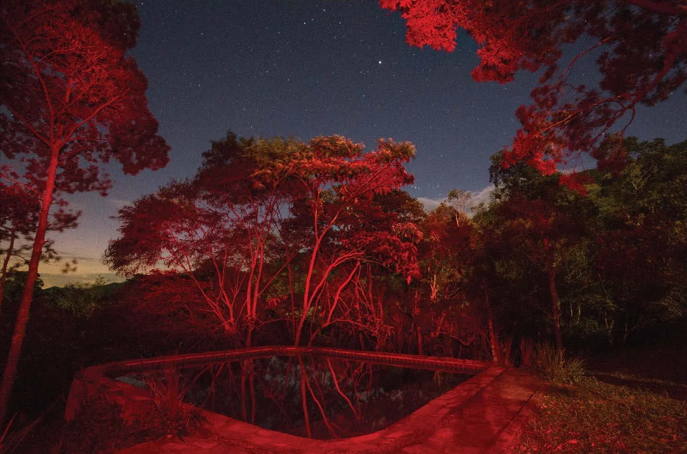    Formato 50 x 33,33 cm R$ 2.500 / edição de 20  Formato 90 x 60 cm     R$ 4.300 / edição de 20 