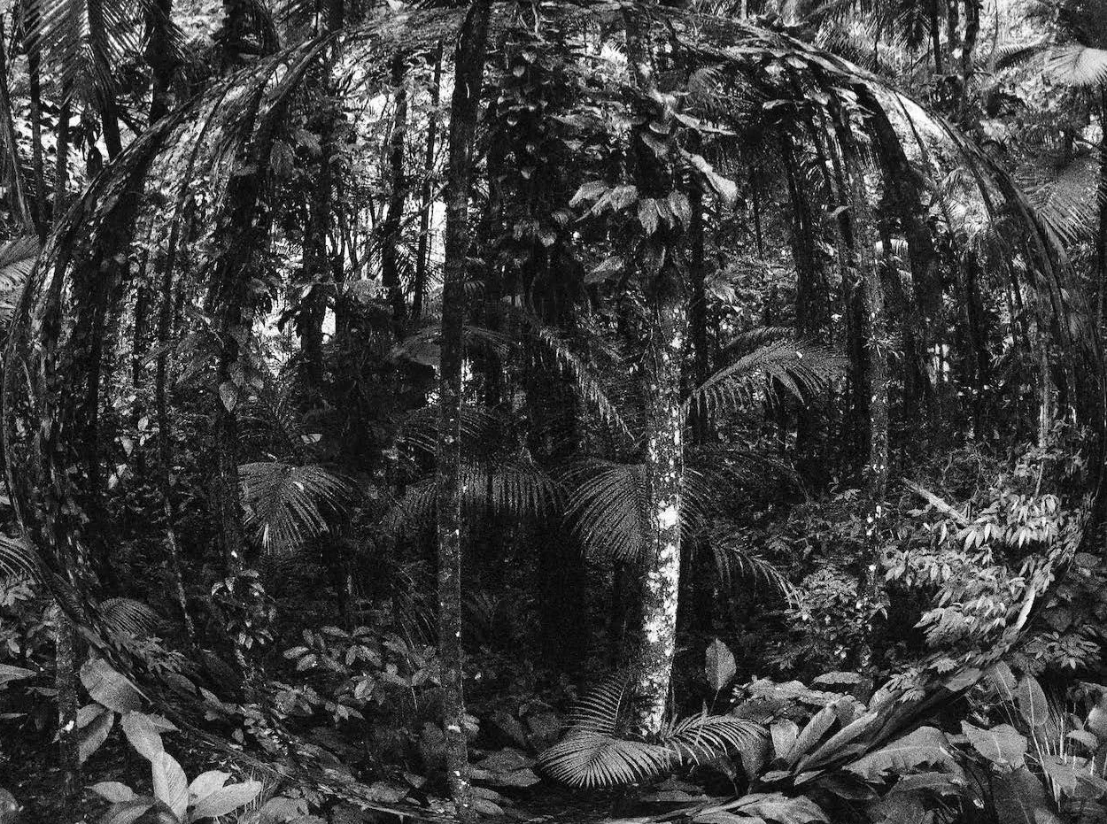    Formato 60 x 40 cm R$ 3.000, / edição de 20   