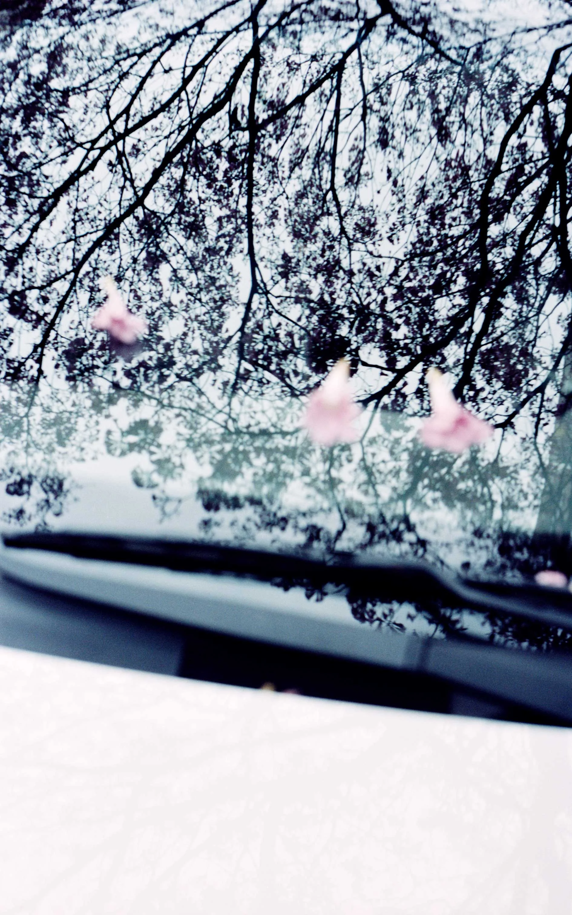 One Note At A Time 743