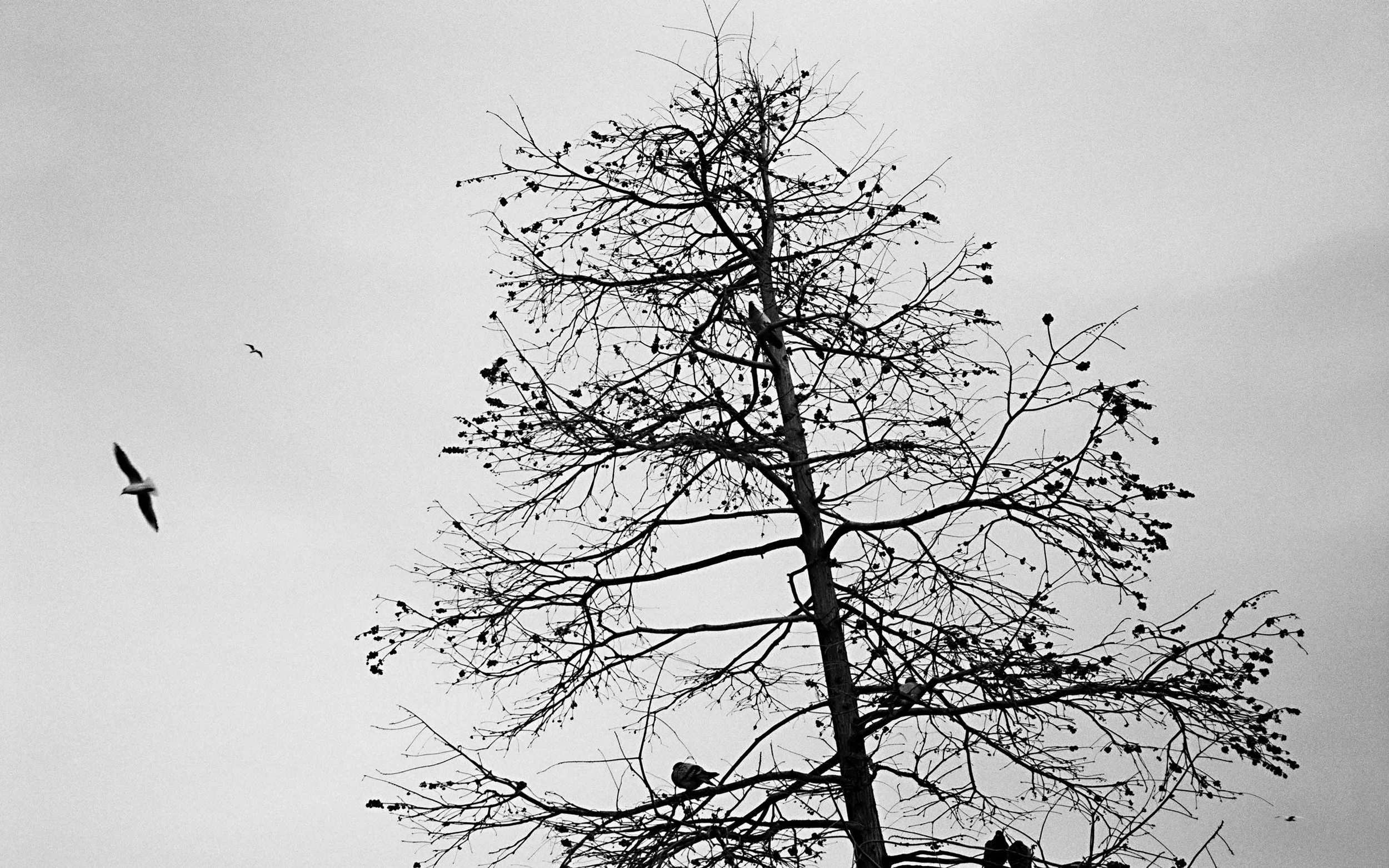 One Note At A Time 826