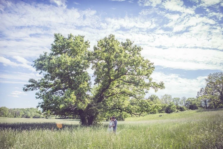 Travis Darnell Photography - Farm Weddings in St. Louis