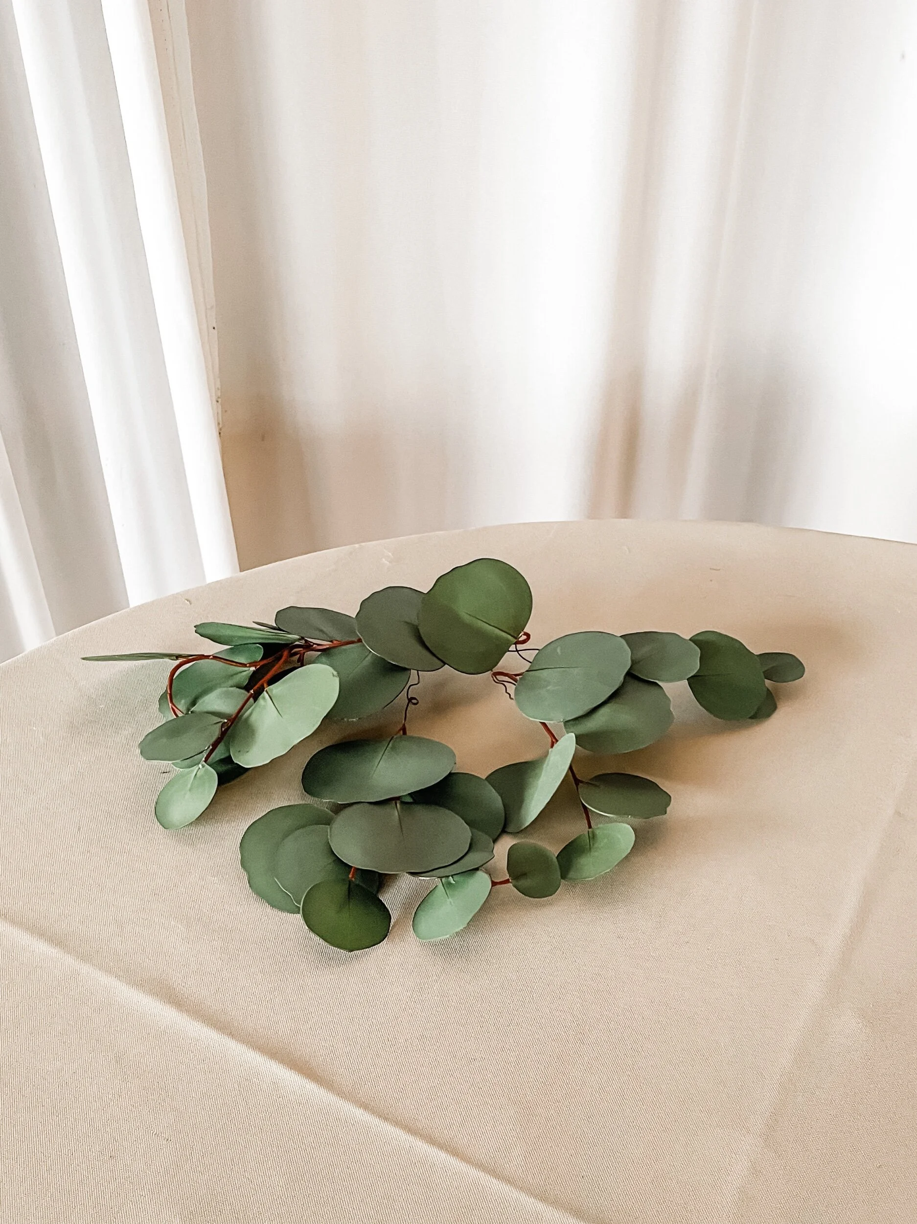 9C5705AB-F208-4F83-BD29-C0DA4DFC4C72