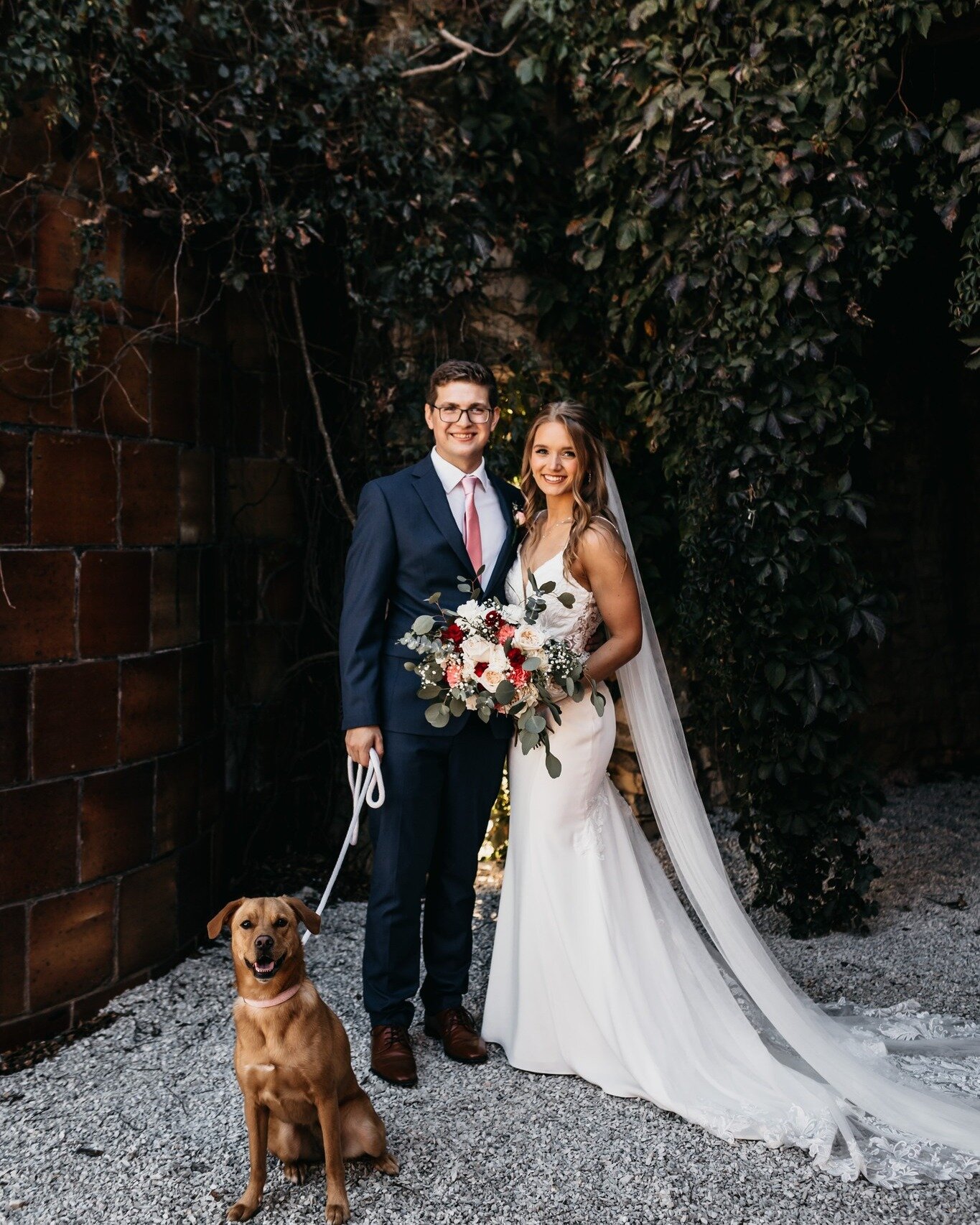 This wedding had a very special furry guest.🐕🐾 The last picture...🥹🥰

❤️Meet the Vendors❤️
Wedding Photographer: @jessandjennphotography
Wedding Day Caterer: @2mikescatering
Wedding Bar Service: @tsliquor
Bridal Dress Shop: @ultimatebridestl
DJ +