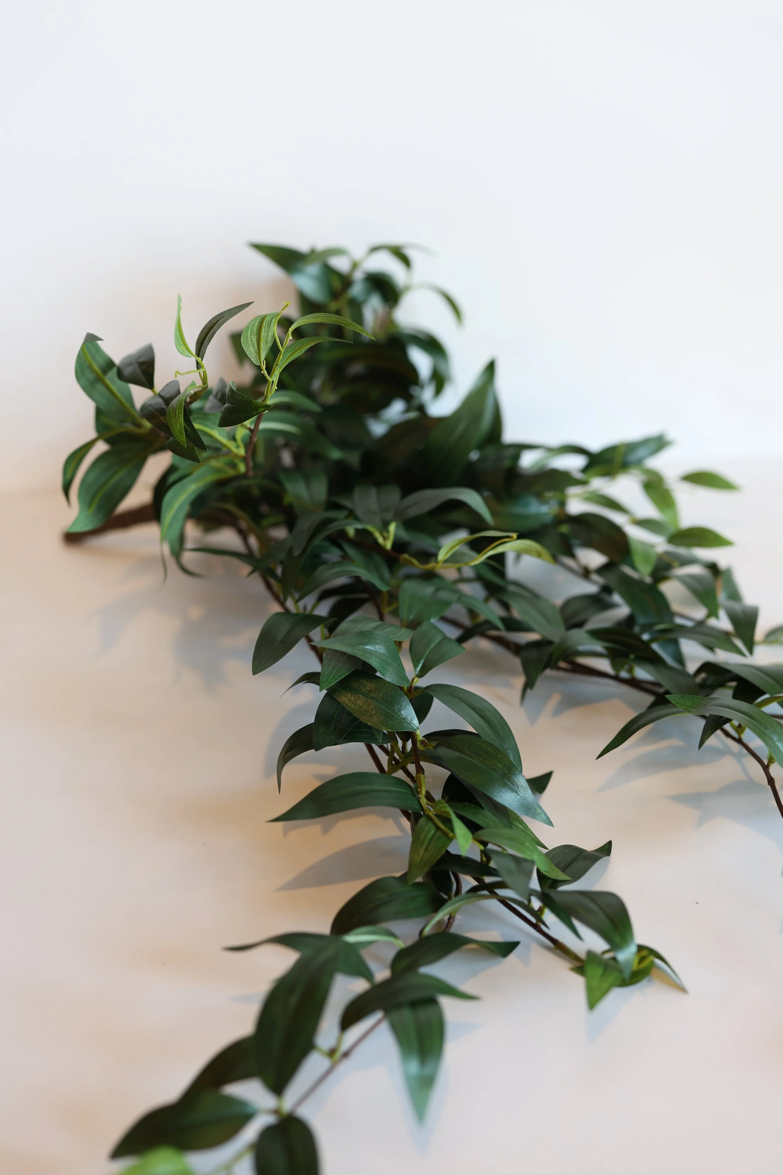 Ruscus Greenery Stems
