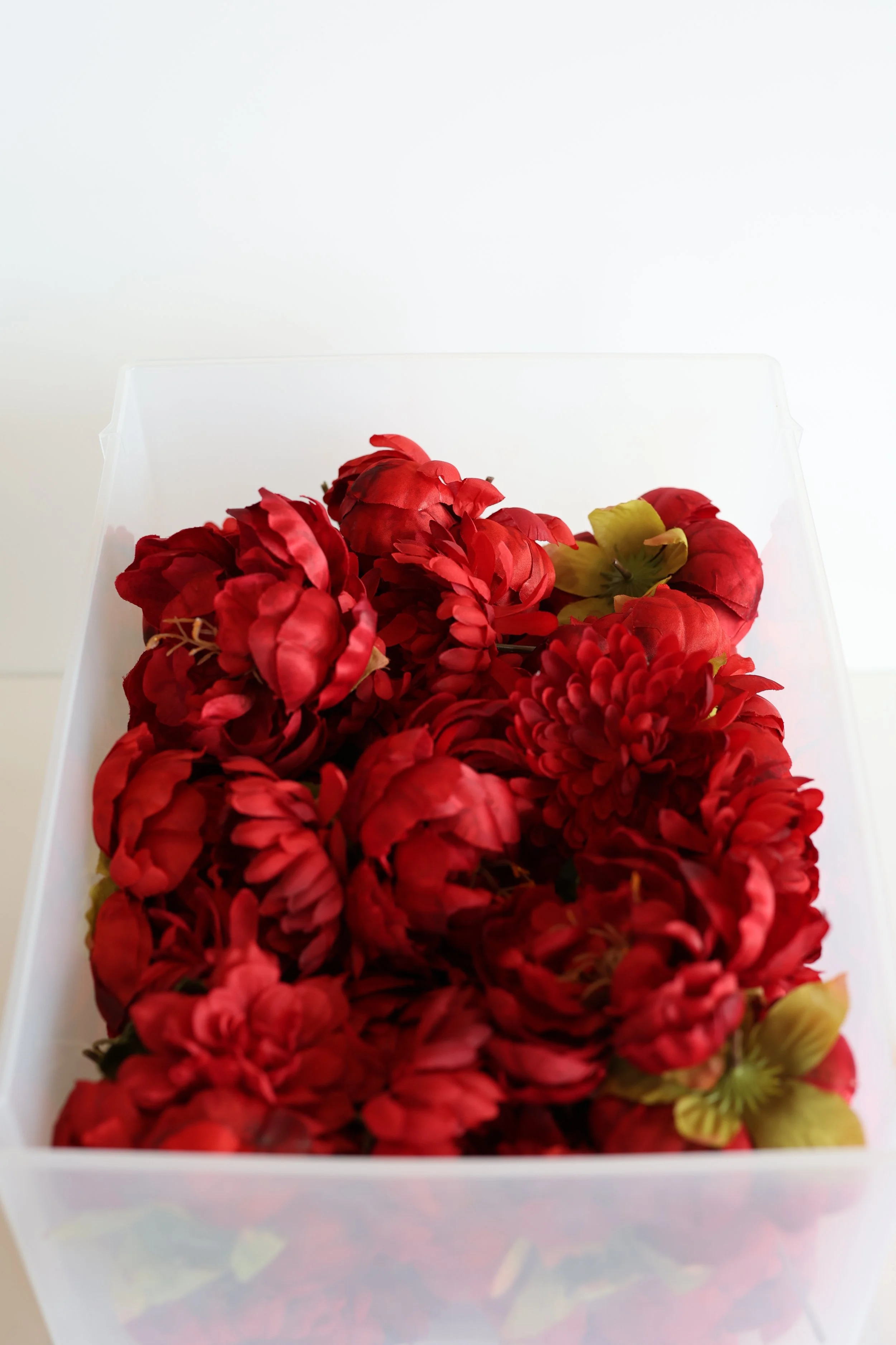 Mixed Red Flowers