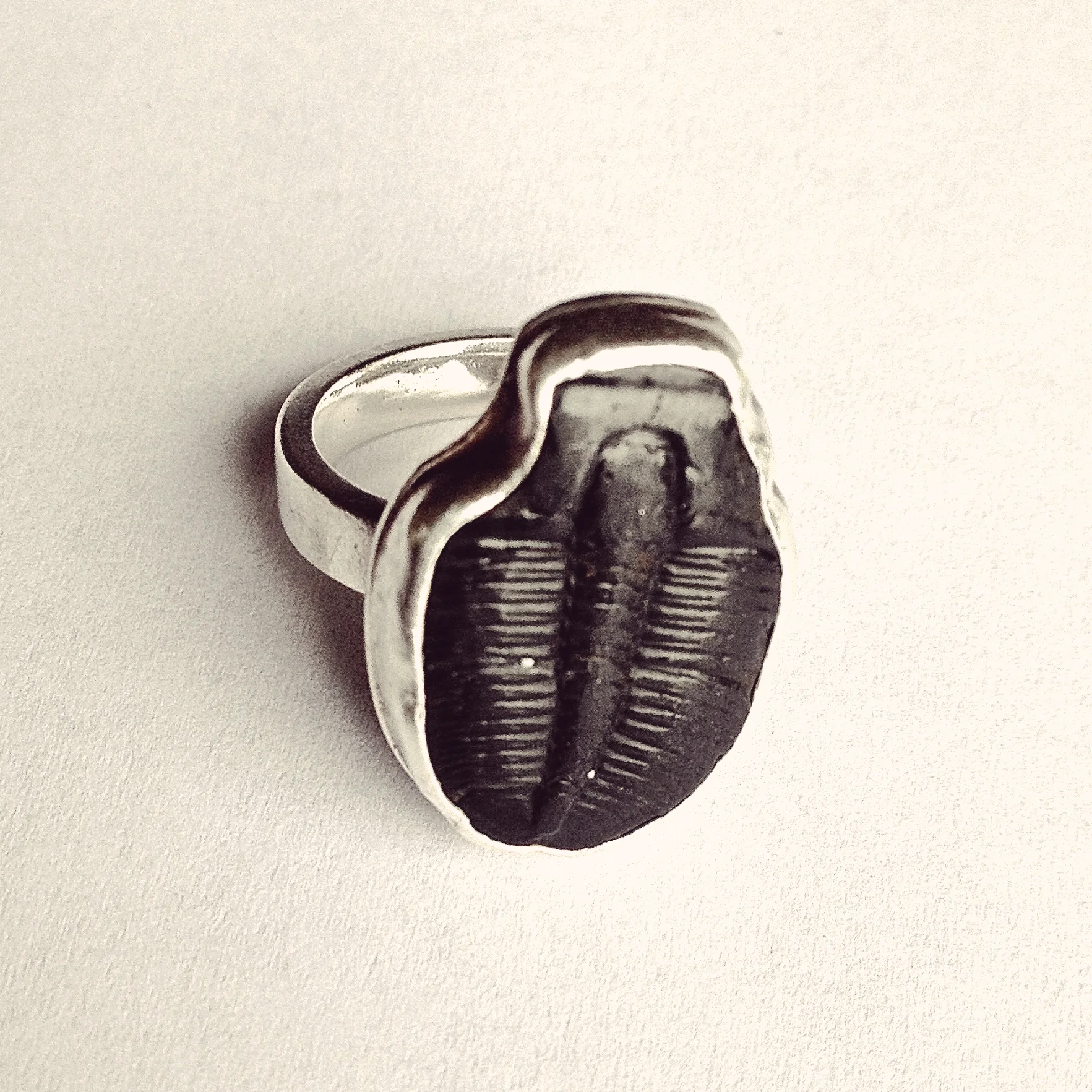 trilobyte ring.jpg
