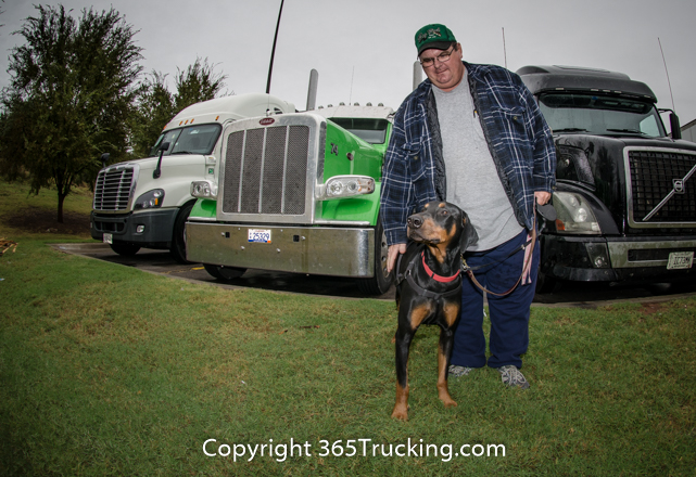 Pet_Transport_111914-5.jpg