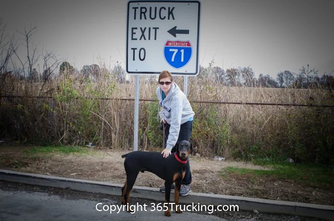 Pet_Transport_111914-33.jpg