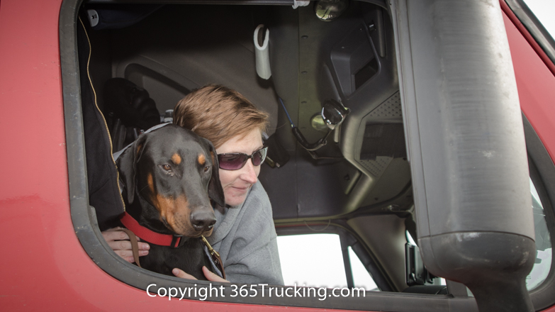 Pet_Transport_111914-131.jpg