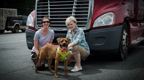 Pet_Transport_Red_092514-67.jpg