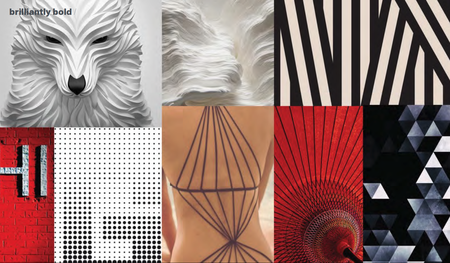 Screen Shot 2020-02-16 at 10.12.59 PM.png