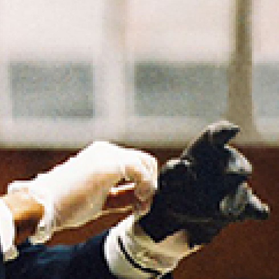 web thumbnail.png