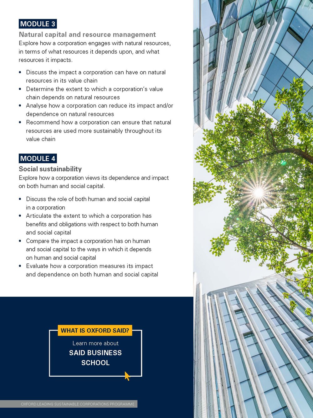 oxford-leading-sustainable-corporations-programme-prospectus_Page_05.jpg