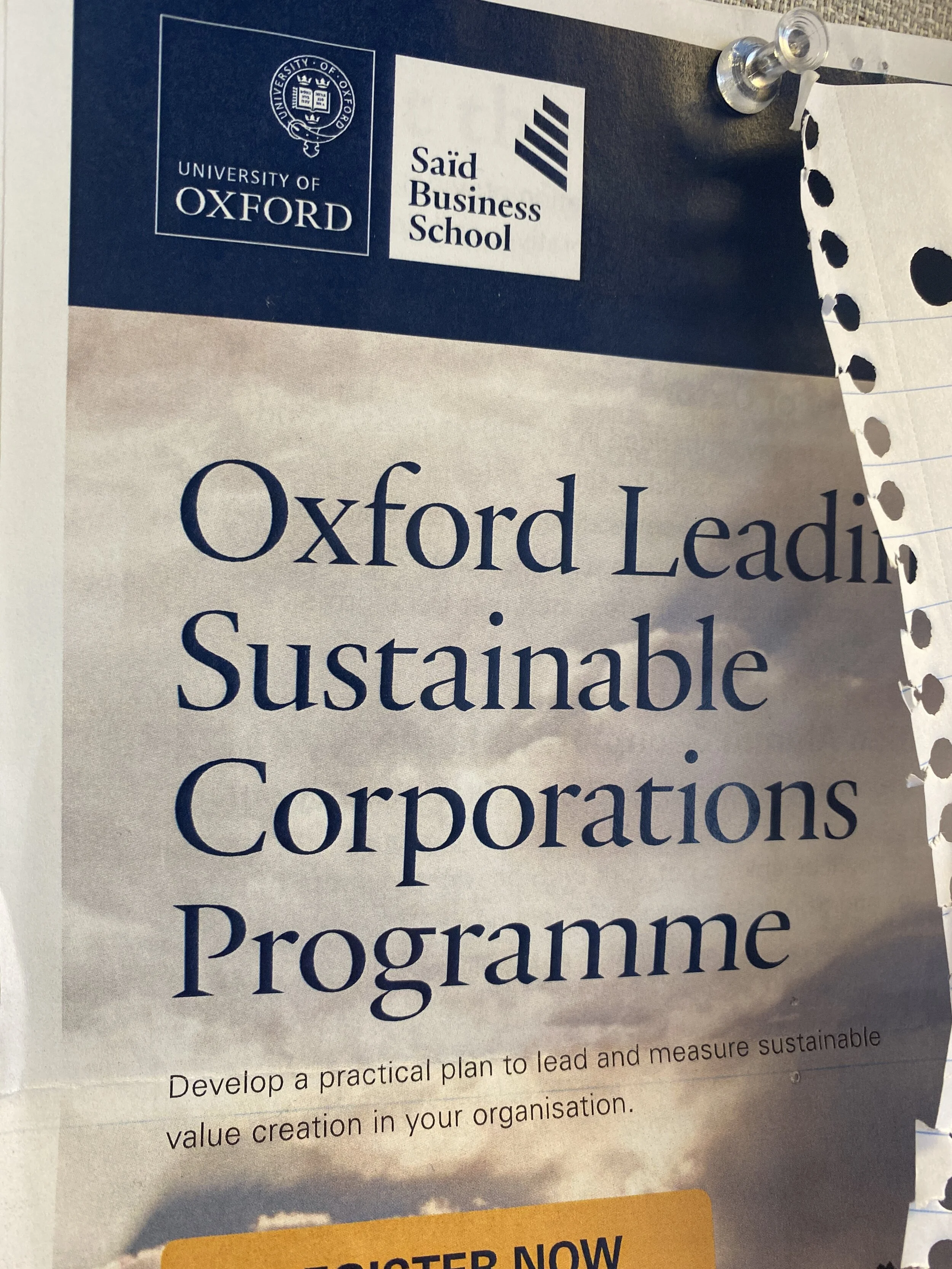 What I Learnt about Sustainable Business through Oxford’s Online Programme