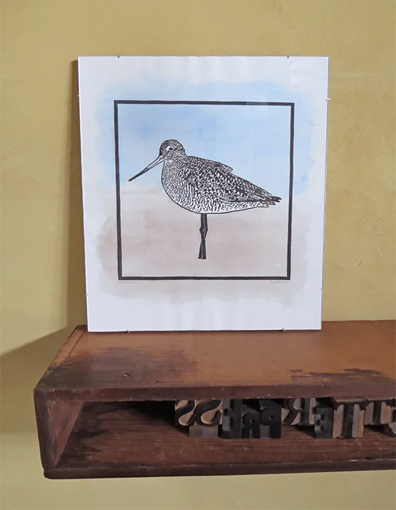 godwit_framed2 sm.jpg