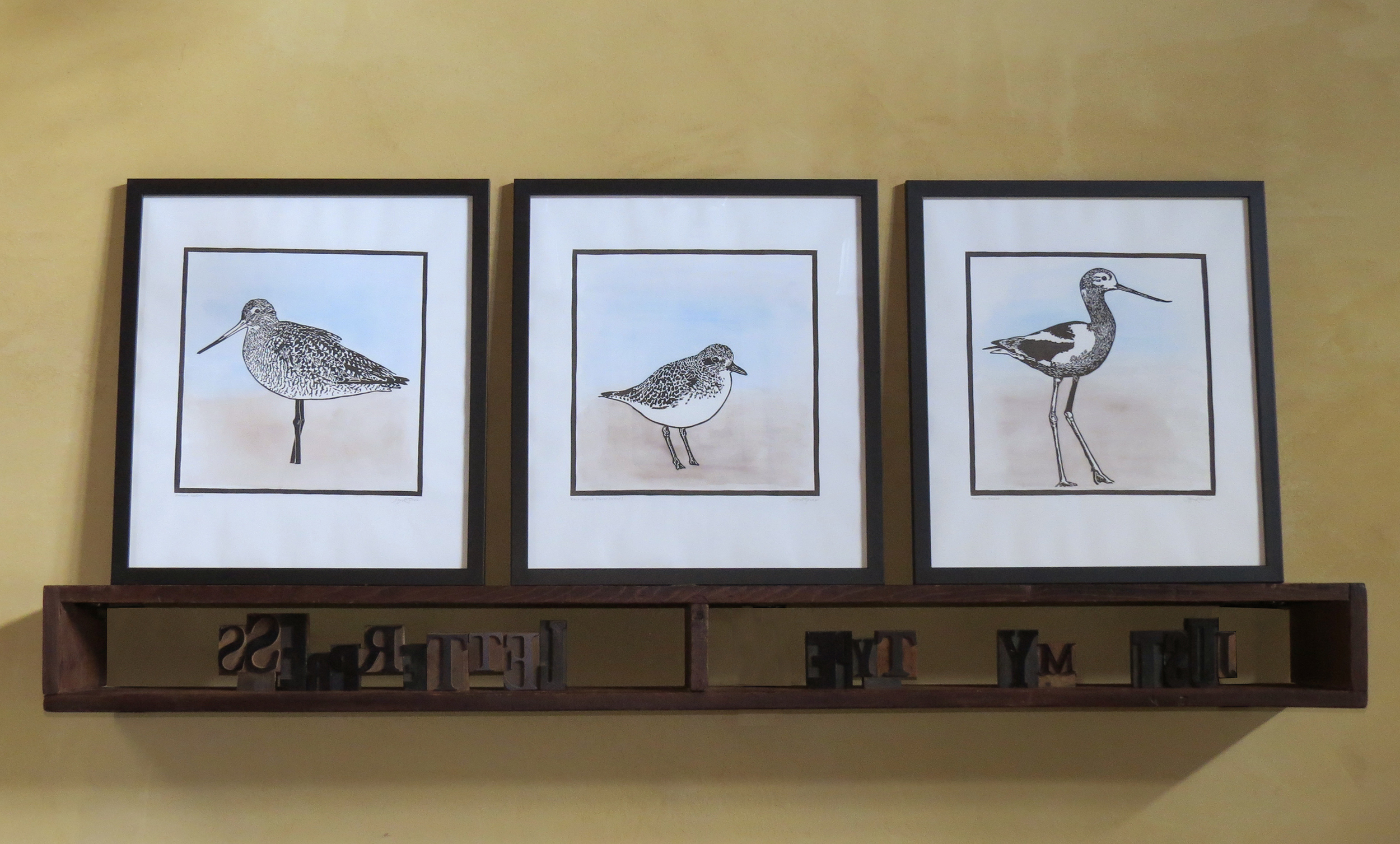 All three in the shorebird series.