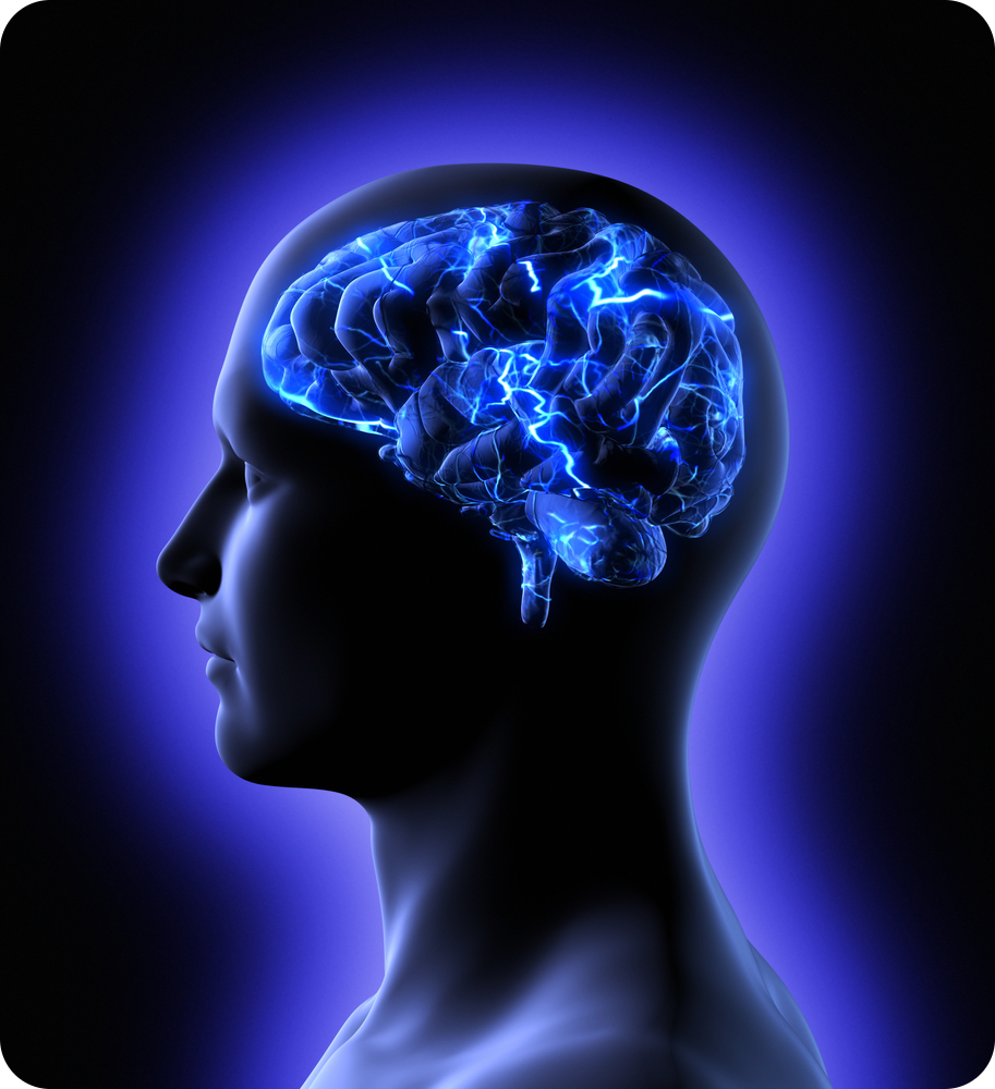 Brain with Rounded Corners.jpg