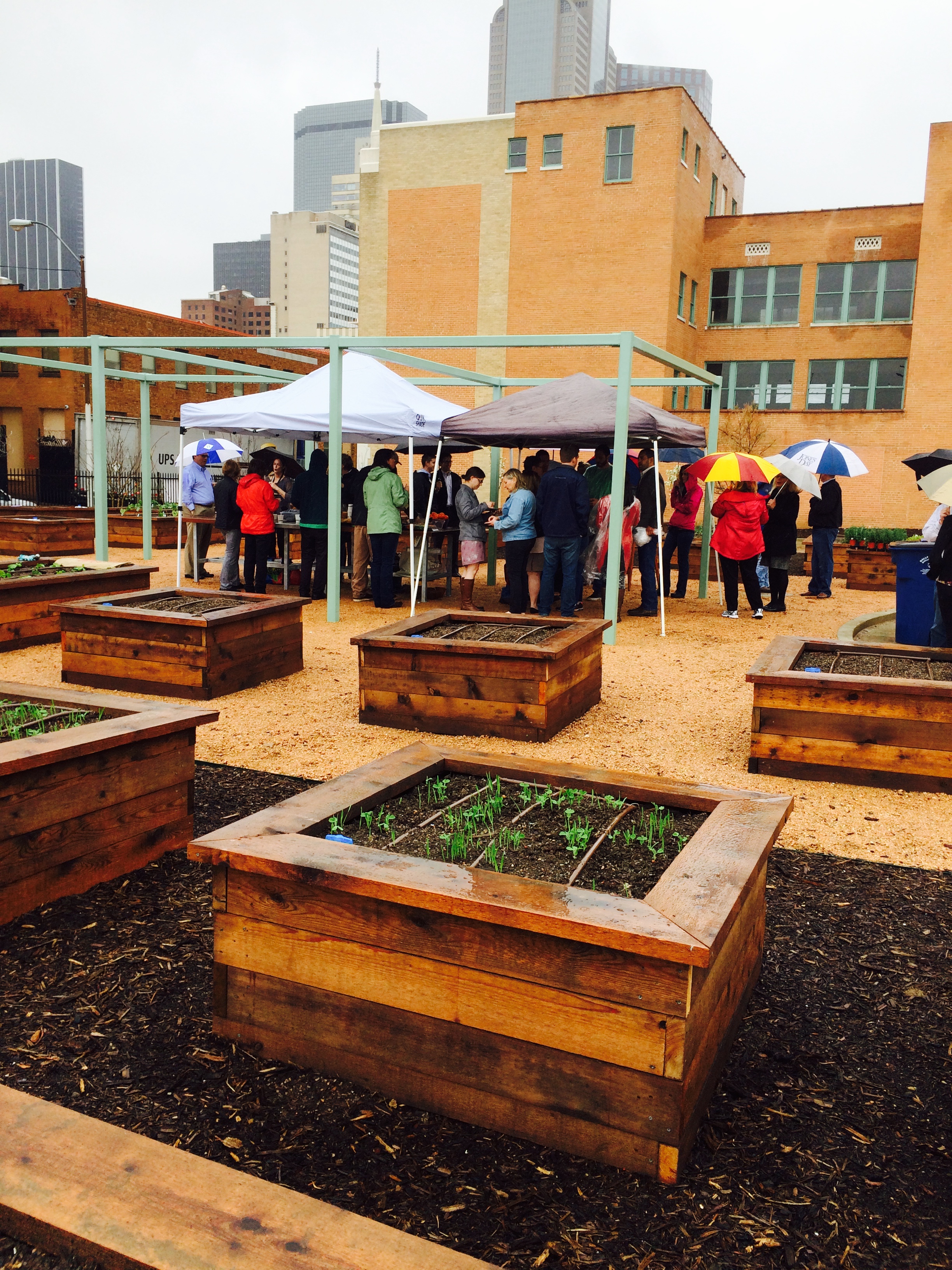 The community garden is the backyard of historic 508 Park.
