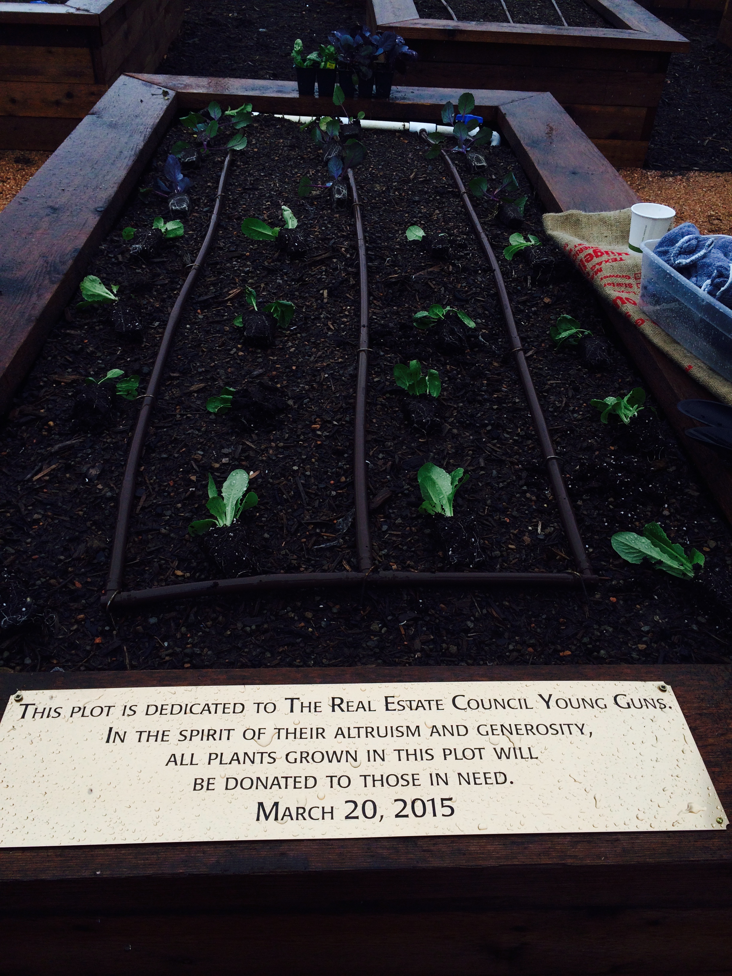 Dedication plaque recognizing the TREC Young Guns