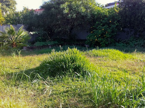 Lawn_Before_Claremont_Perth.jpg