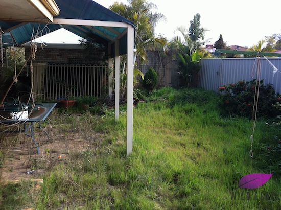 Perth_garden_Cleanup_thornlie_wildleaf03.jpg