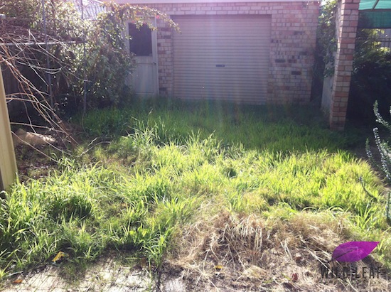 Perth_garden_Cleanup_thornlie_wildleaf07.jpg