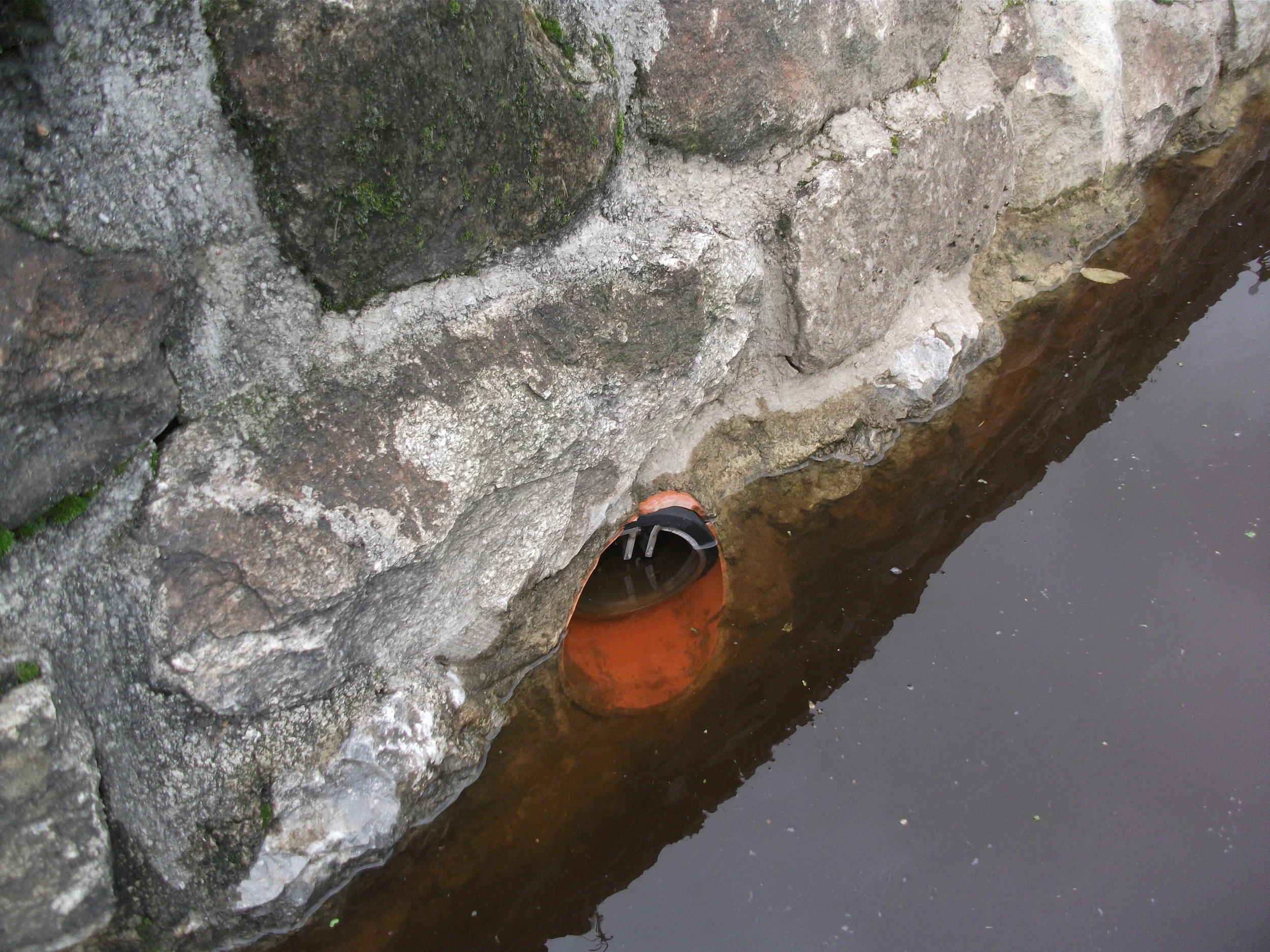 DSCF6815.jpg