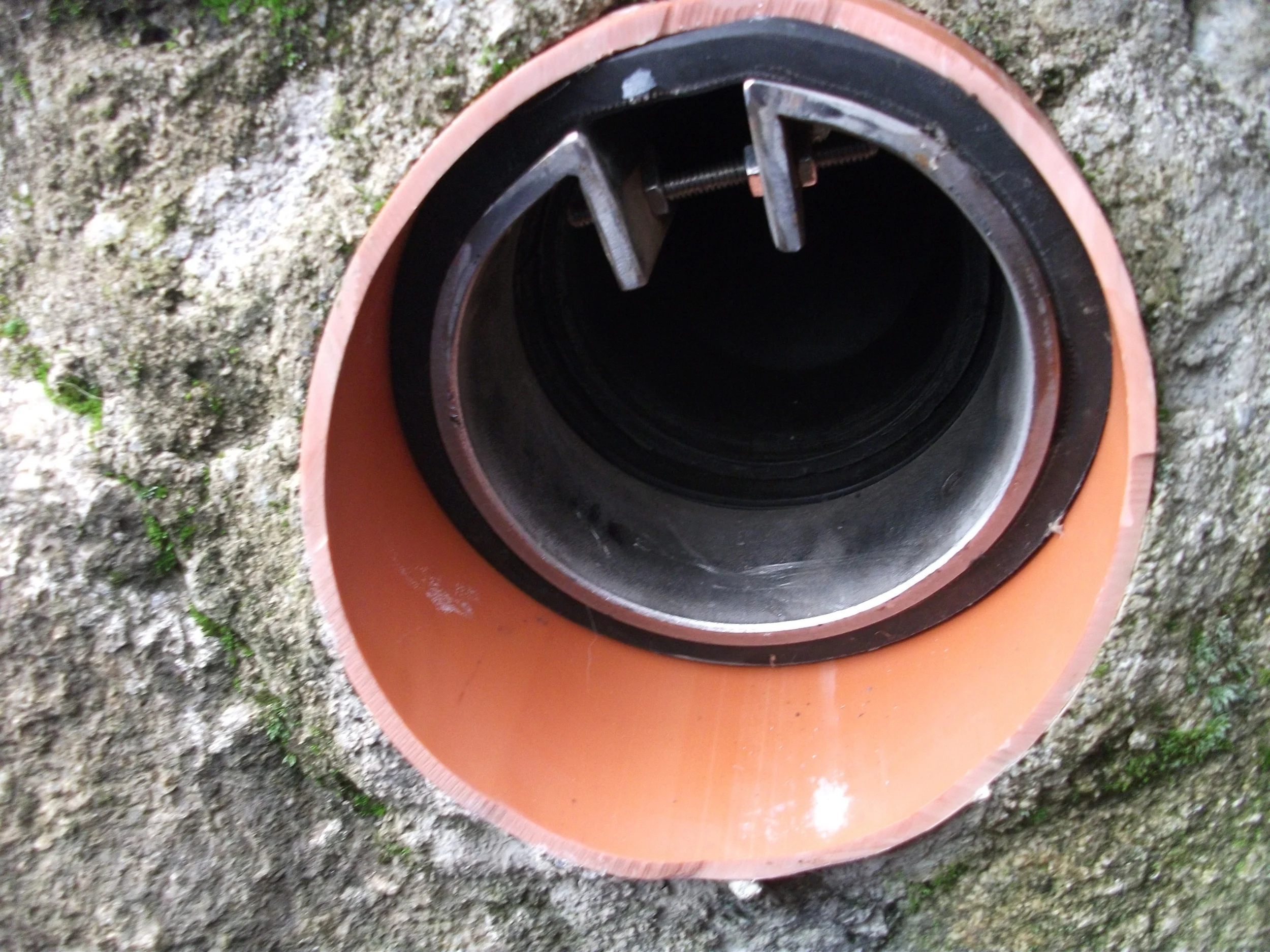 DSCF6807.jpg