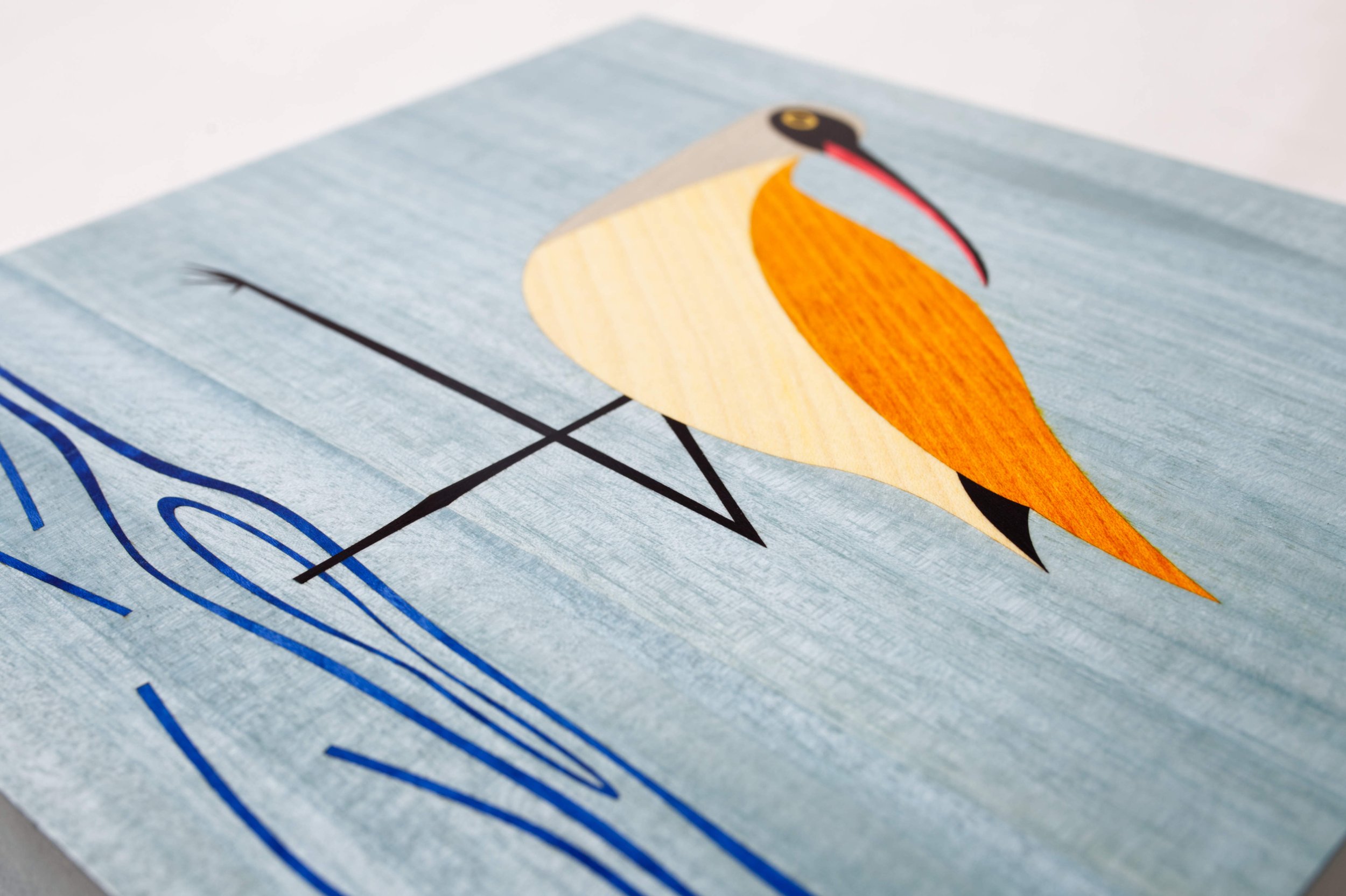 240 Curlew 10.jpg