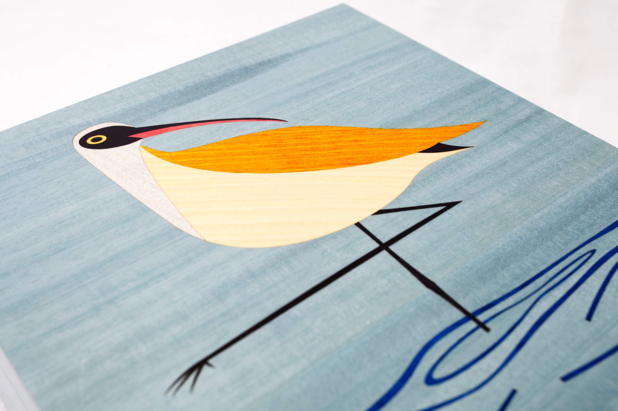 240 Curlew 11.jpg