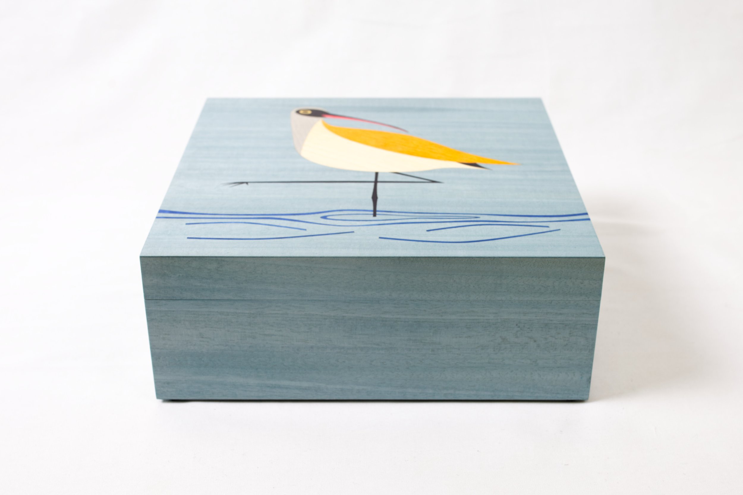 240 Curlew 3.jpg