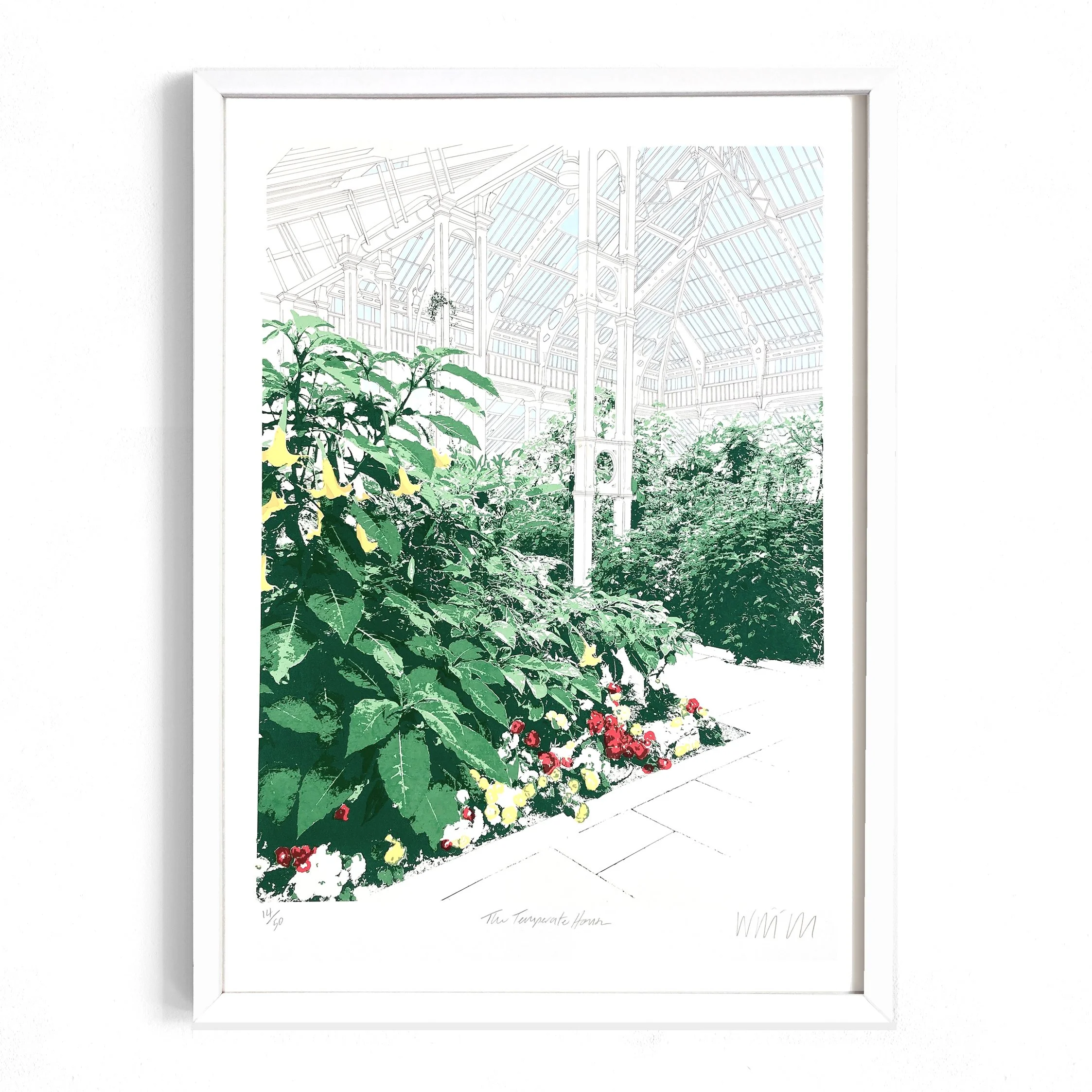 Temperate House Reds and Yellows framed white.jpg