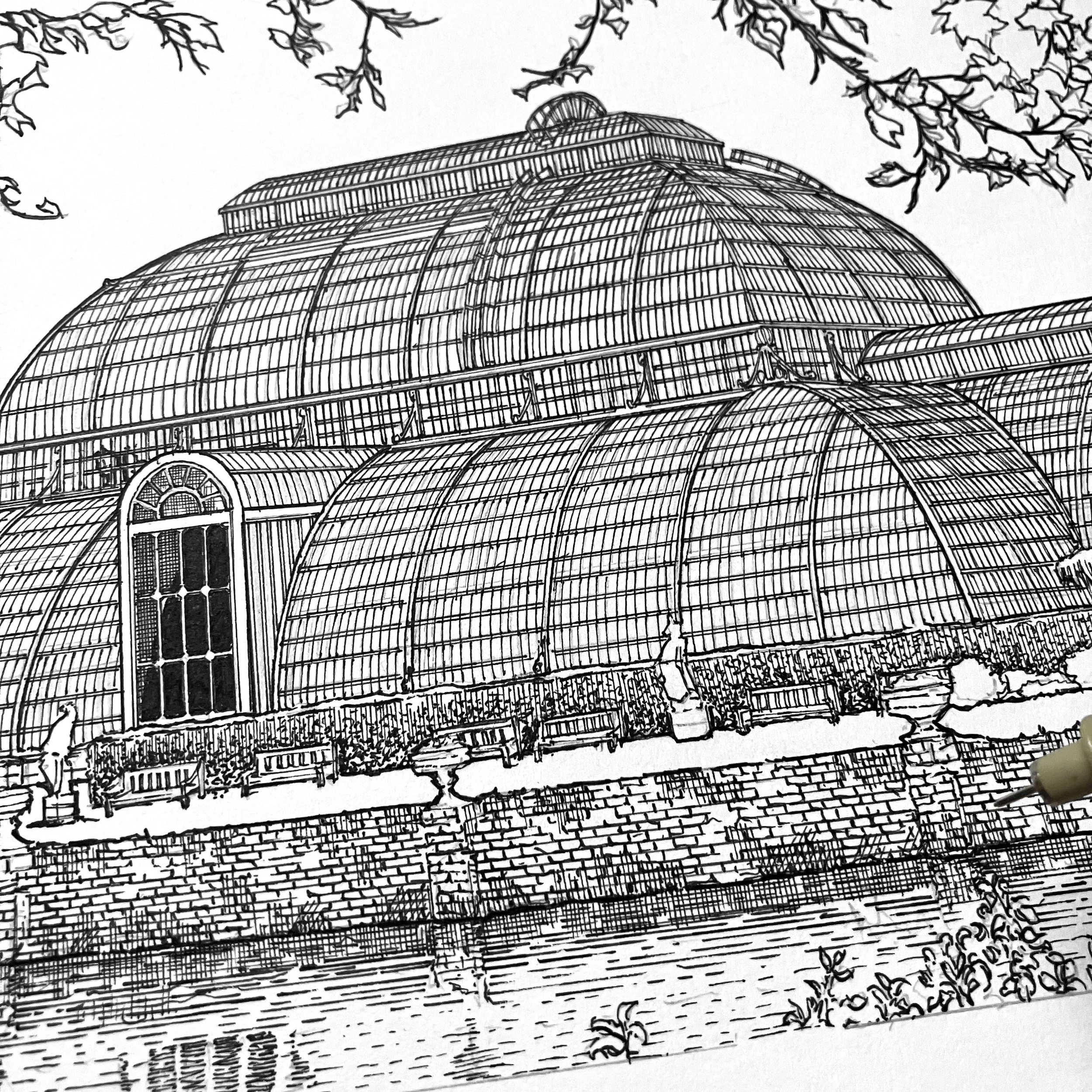 Drawing the Palm House Kew.jpg