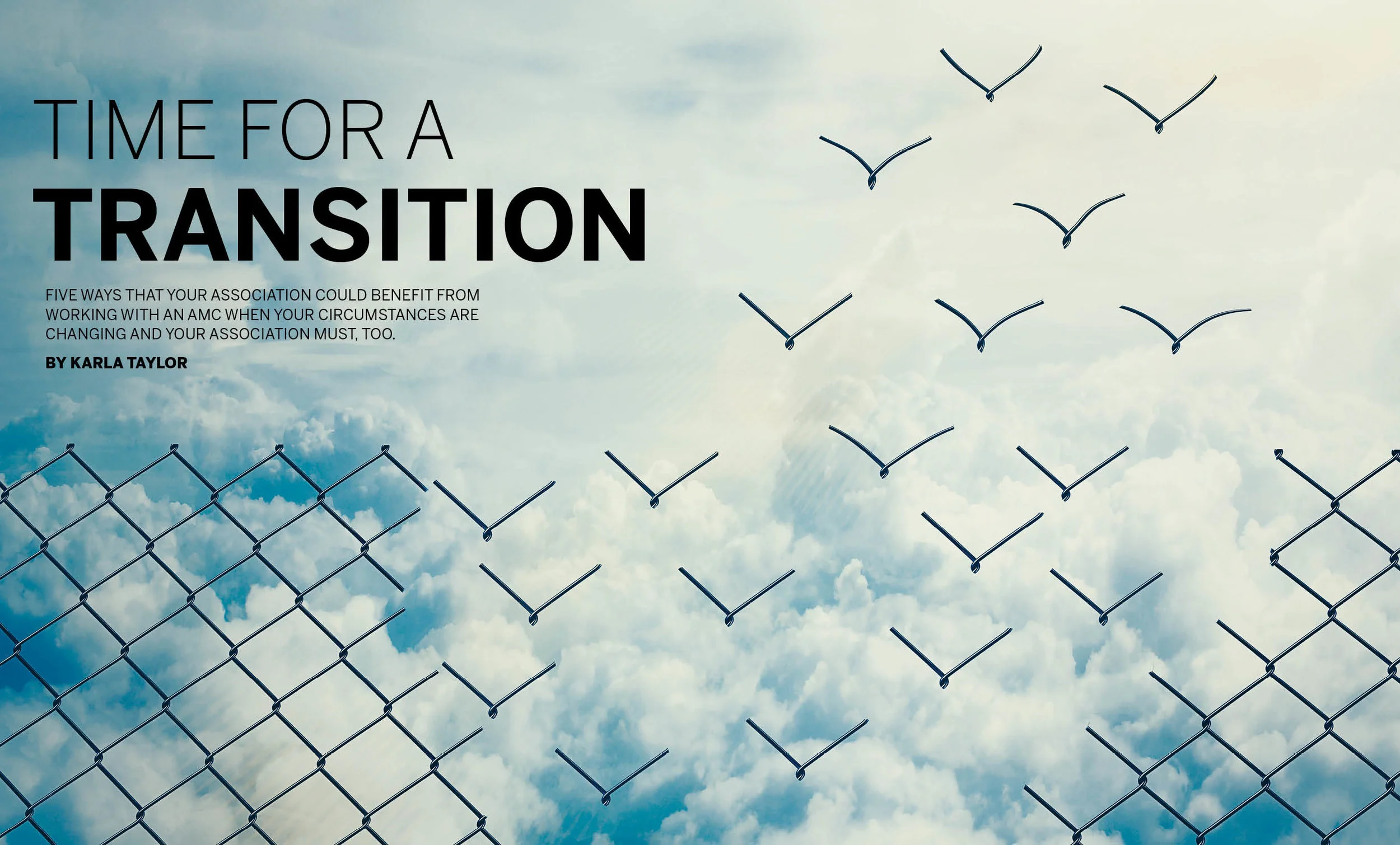 taylor transition.jpg