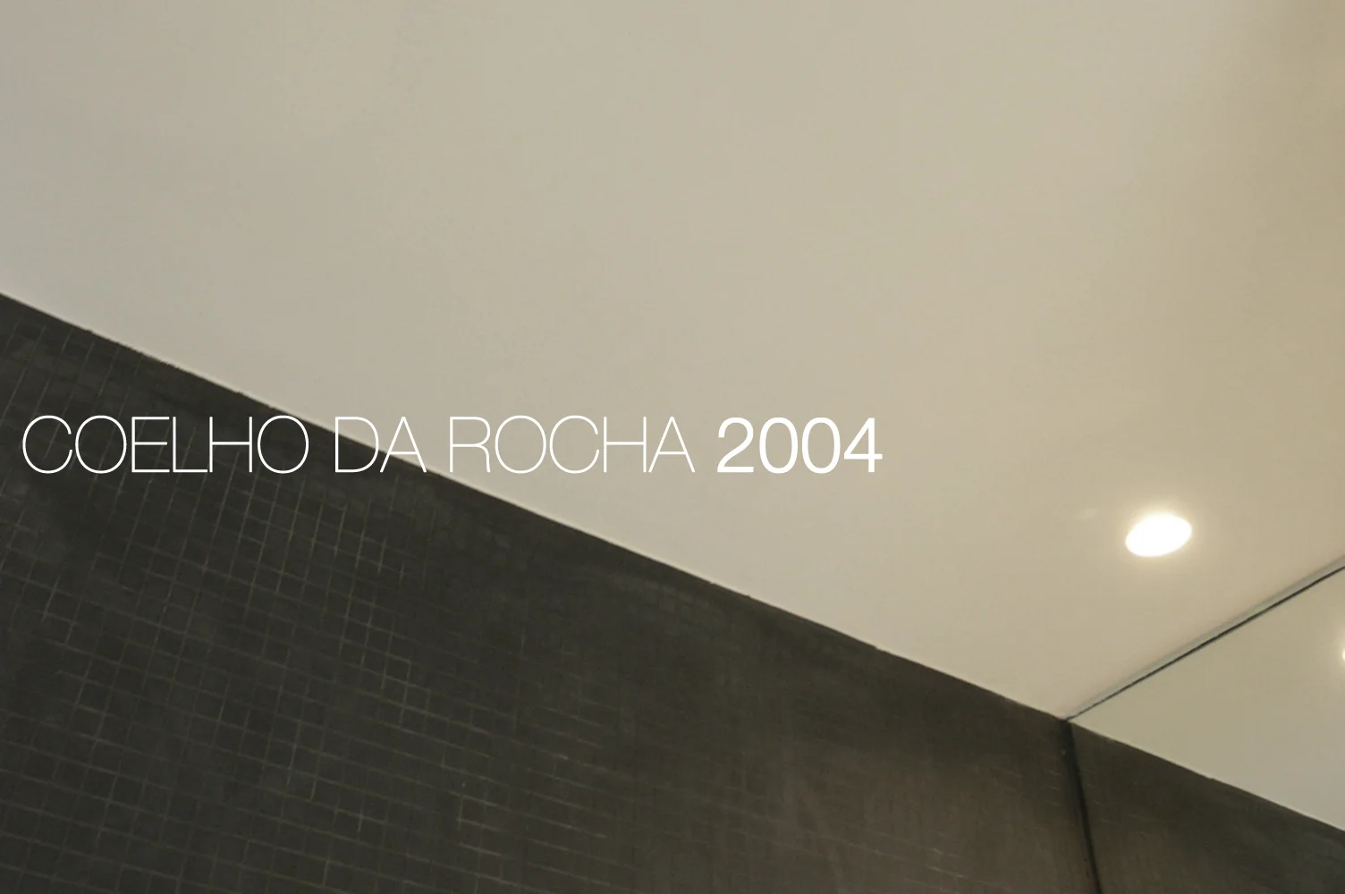 COELHO DA ROCHA
