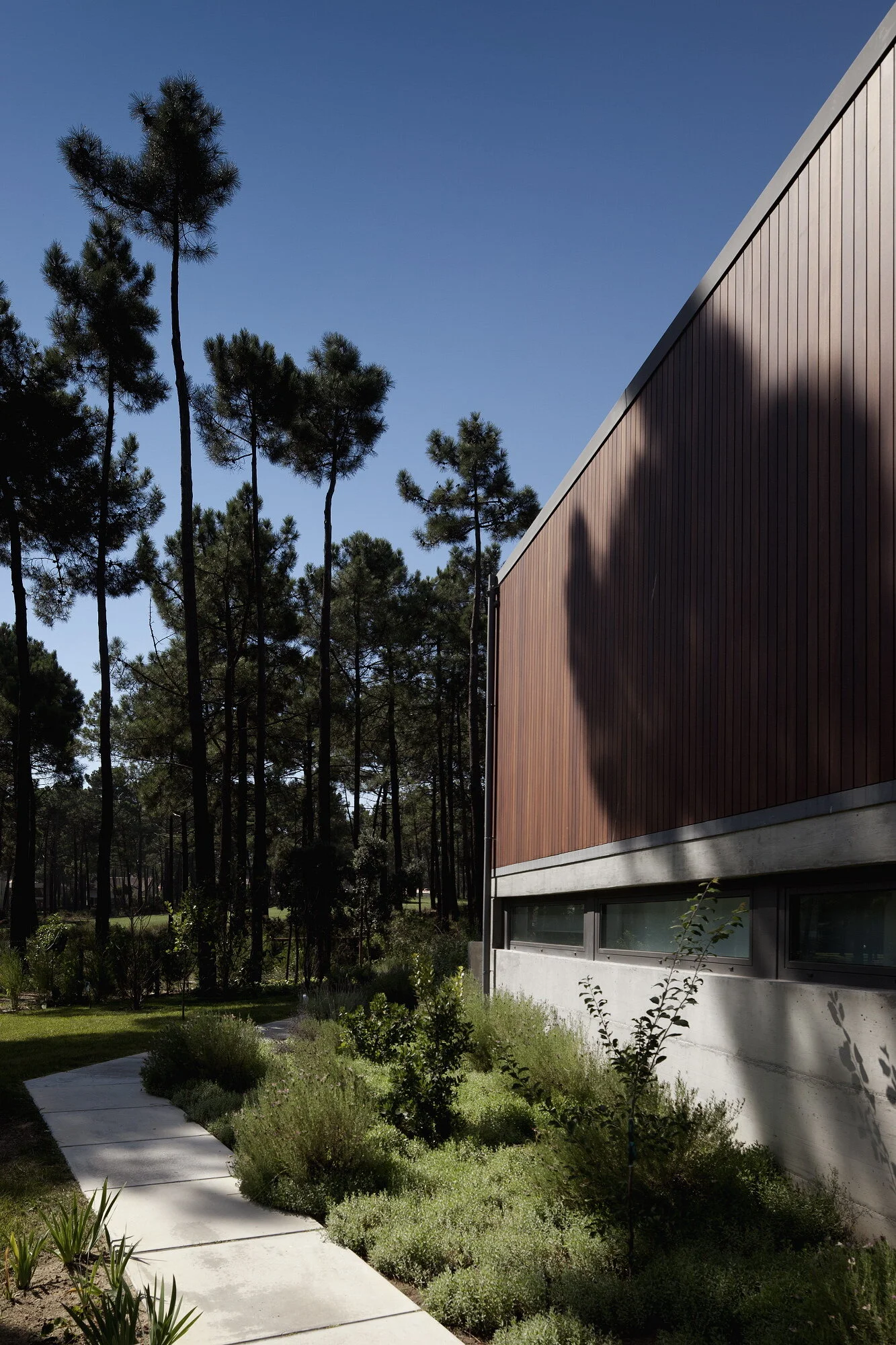 ColectivArquitectura_Aroeira III, 2011_031.JPG