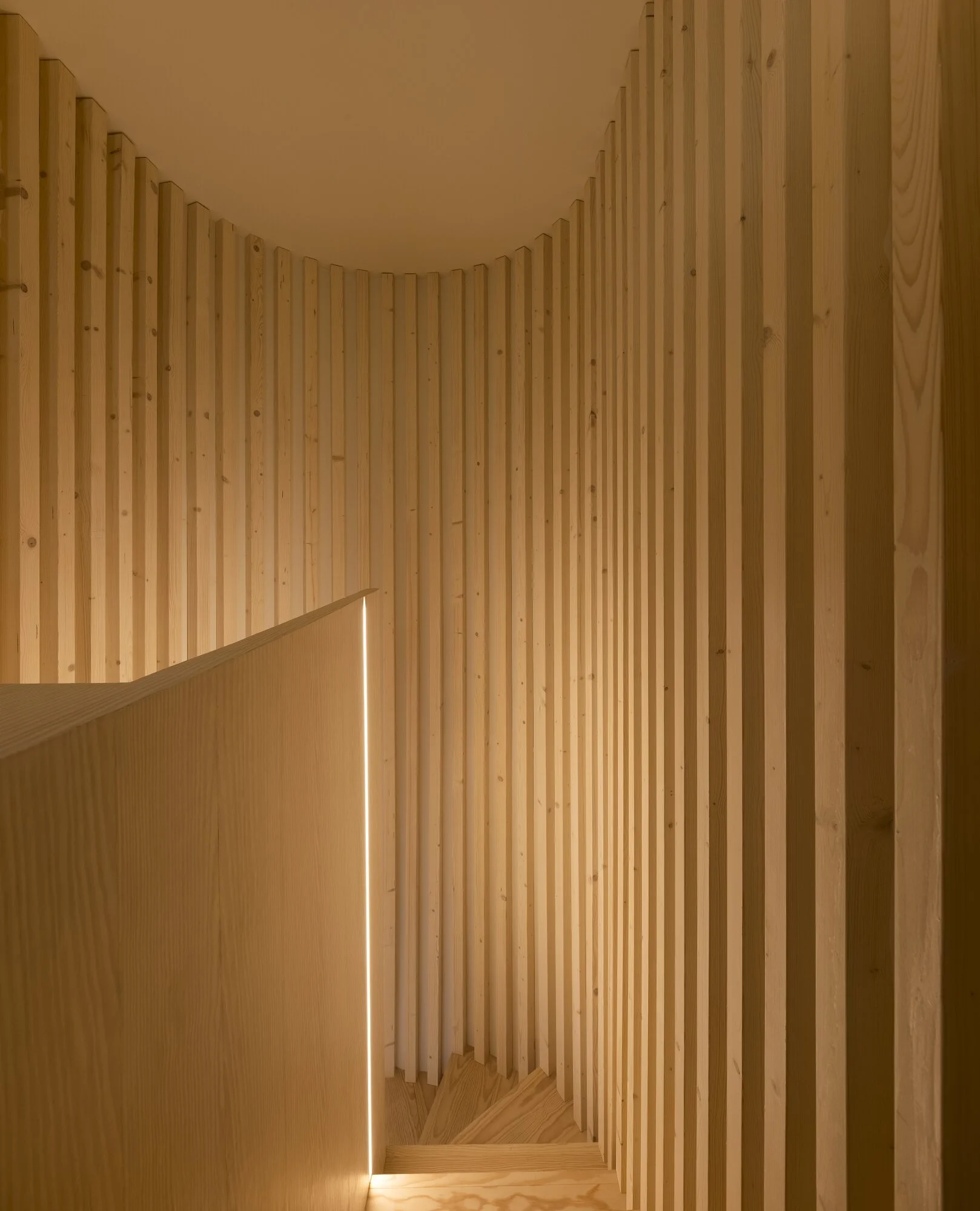 ColectivArquitectura_Coelho da Rocha II, 2020 FG+SG_039.jpg