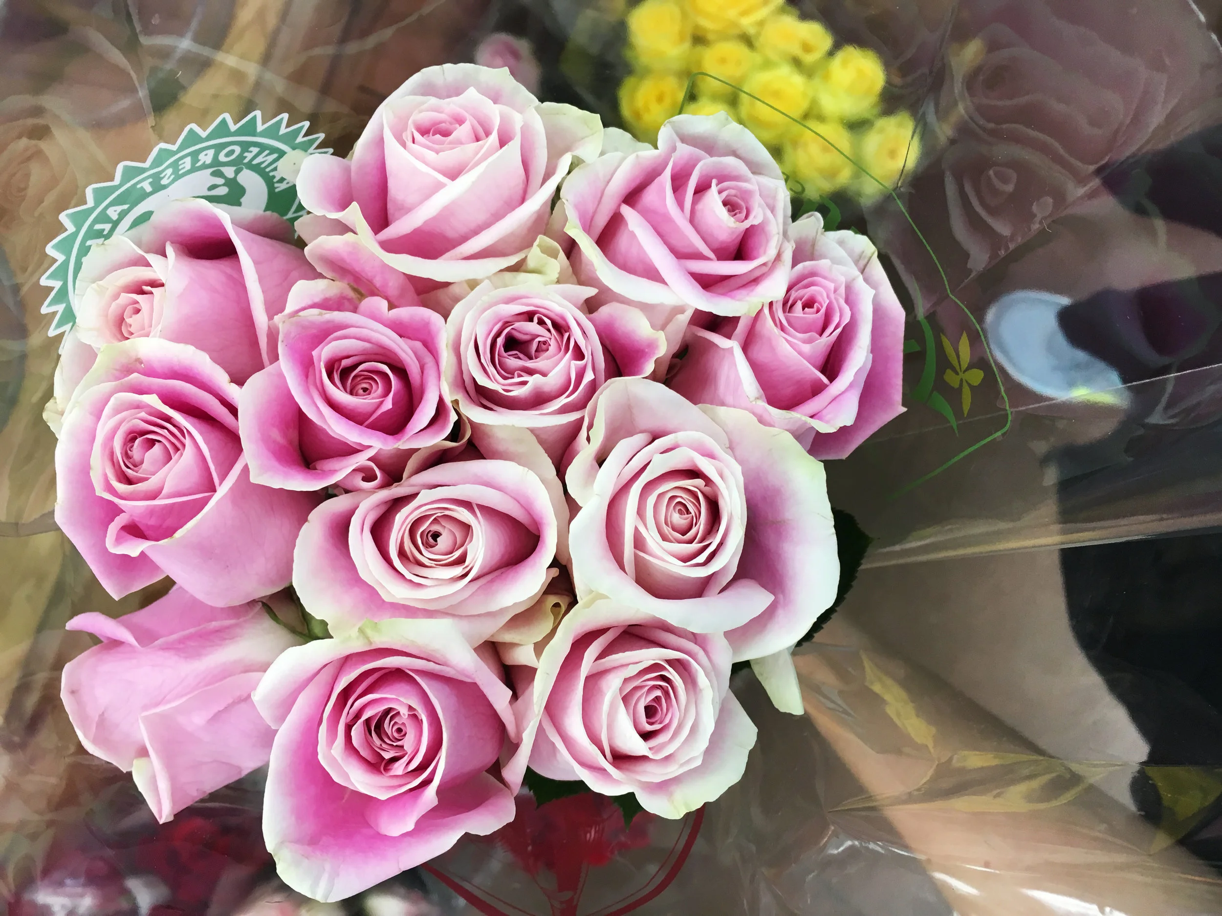 Flowers.jpg