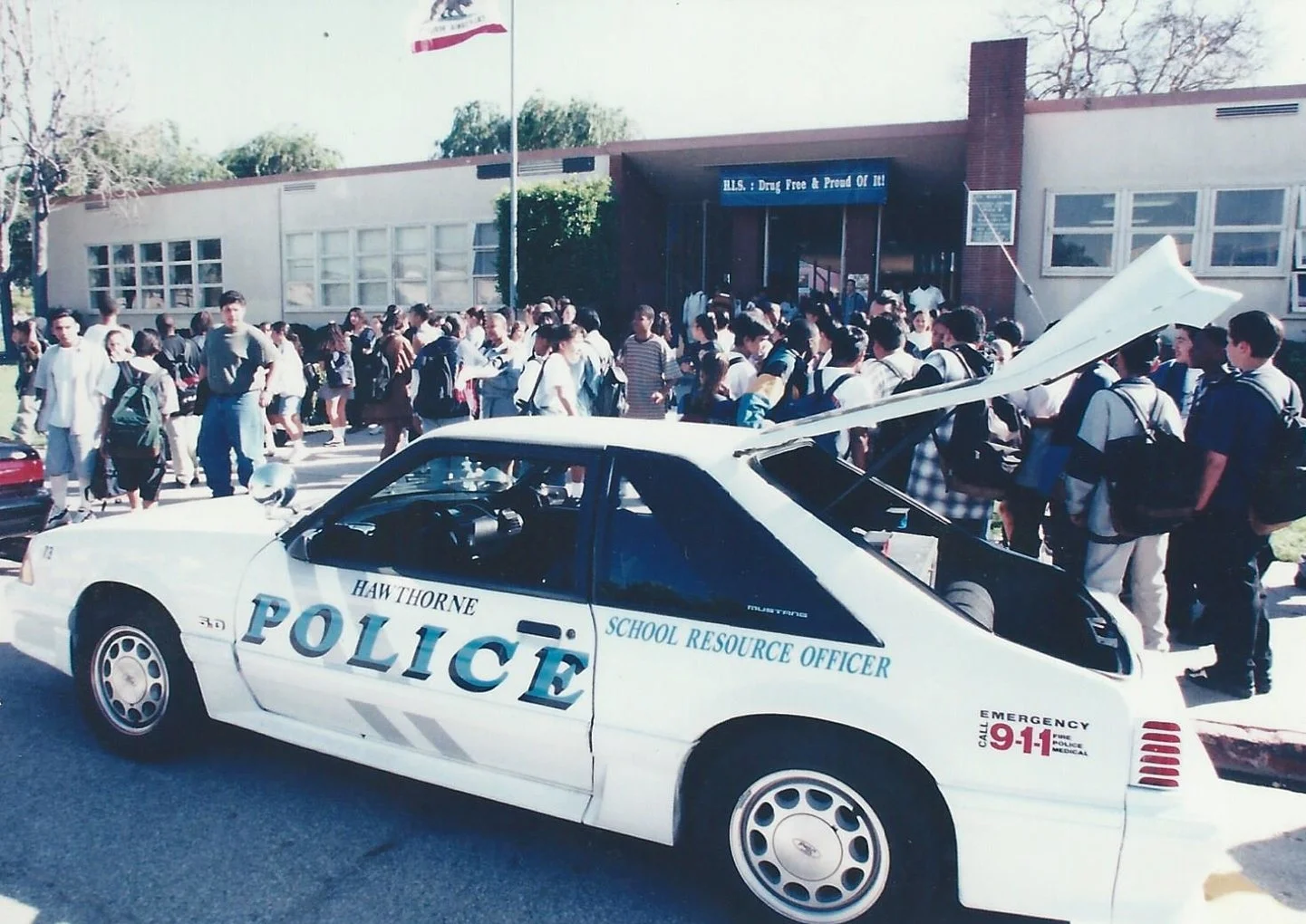 The Mustang.jpeg