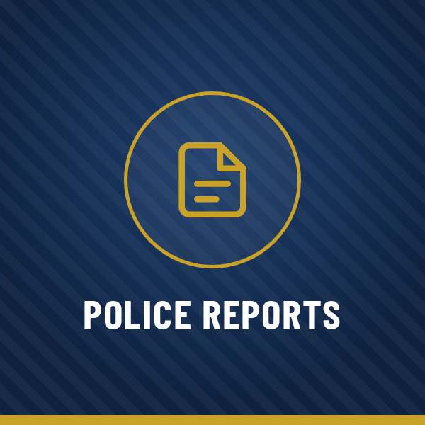 HPD-quick-03-police-reports.png