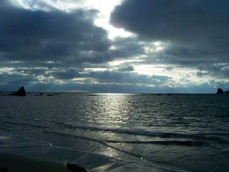 100_0667.jpg
