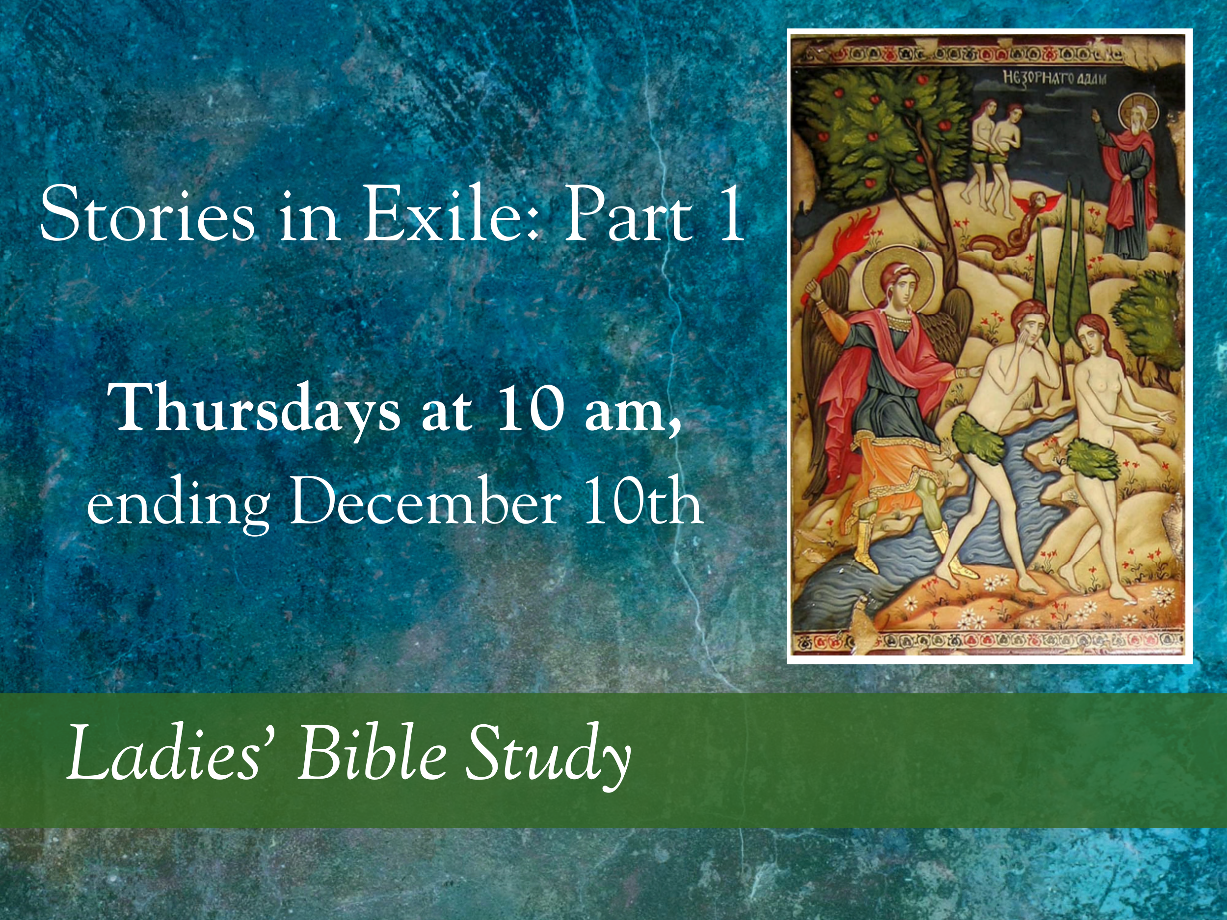 Ladies' Bible Study website carousel fall 2026 UPDATED 10.22.26.png