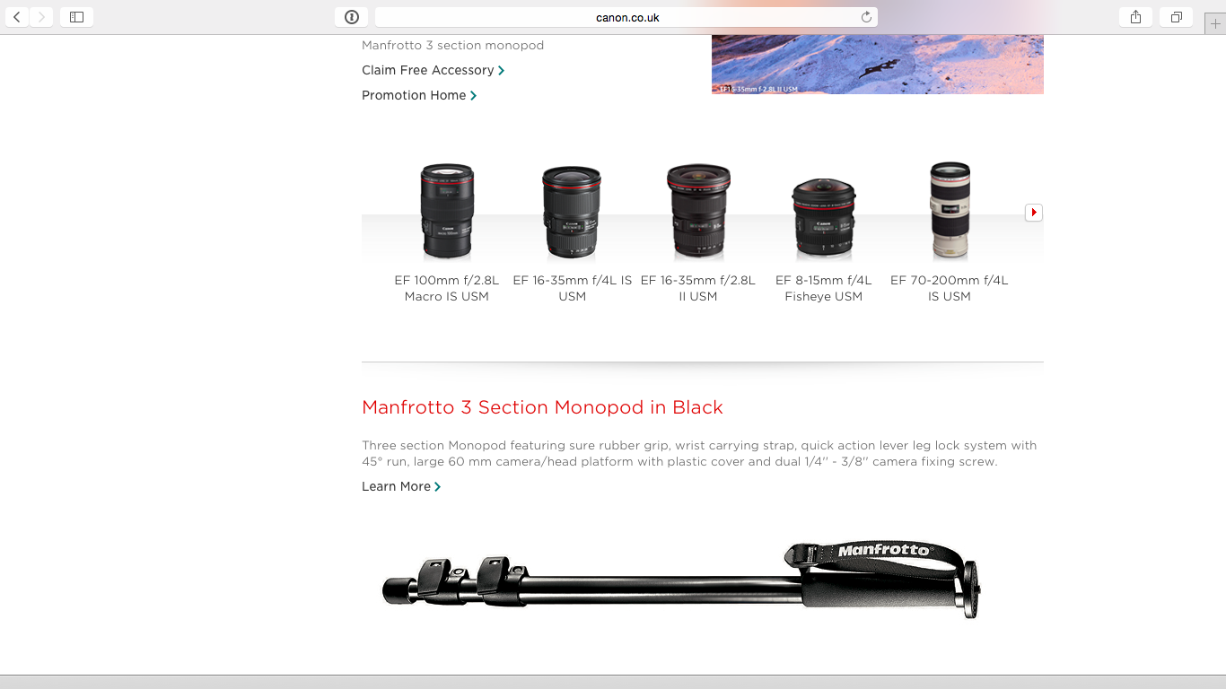Quite a few lenses were being offered a Manfrotto monopod