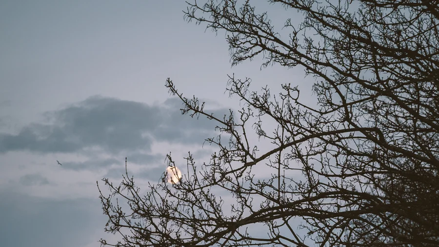 Moonrise on the day after the winter solstice
