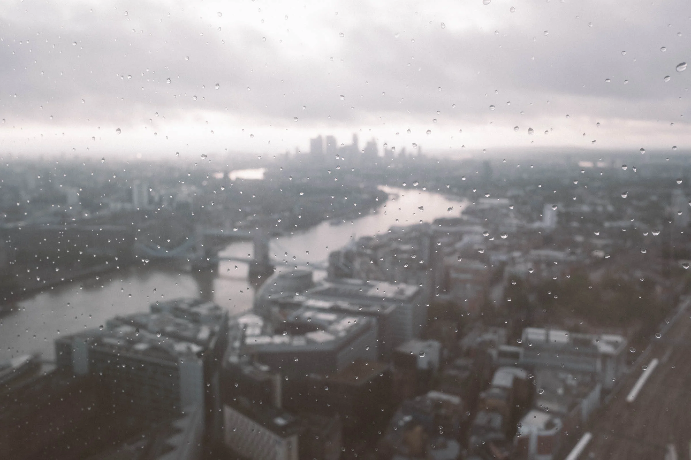 DSCF5378-2.jpg