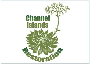 Channel Islands Restoration volunteer and member