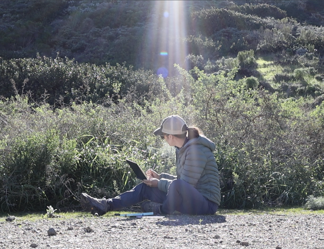Artist Kristen Walker sketching while scouting native plants on Santa Cruz Island