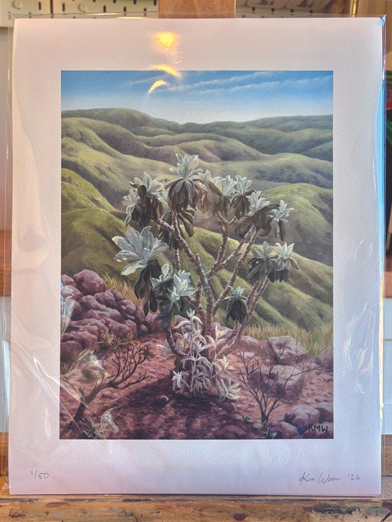 Fine Art Print by Kristen Walker