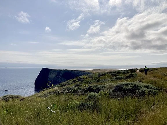 Bright sunshine over the ocean and cliffs on Santa Cruz Island